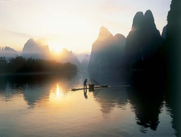 Cormorant Fishing Show At Nightfall